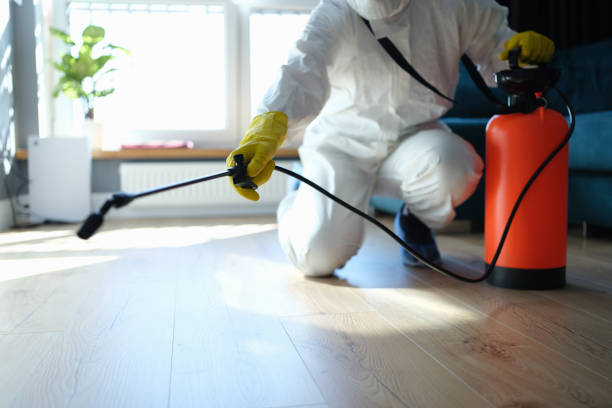 Reliable Odor Removal contractor in Berger, MO by Trauma Clean Pros
